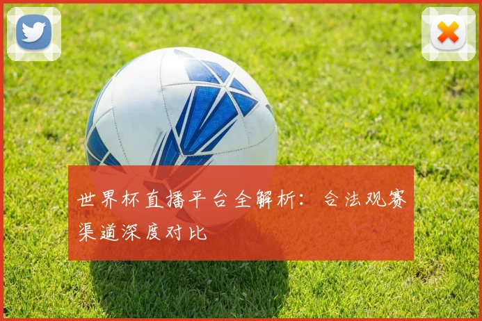 世界杯直播平台全解析:合法观赛渠道深度对比