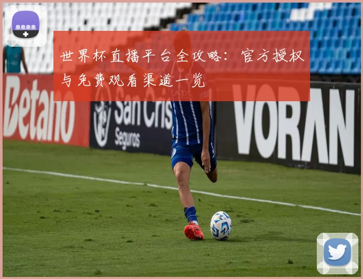 世界杯直播平台全攻略：官方授权与免费观看渠道一览